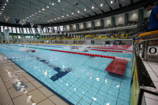 第42回 全国JOCジュニアオリンピックカップ夏季水泳競技大会(2019夏)