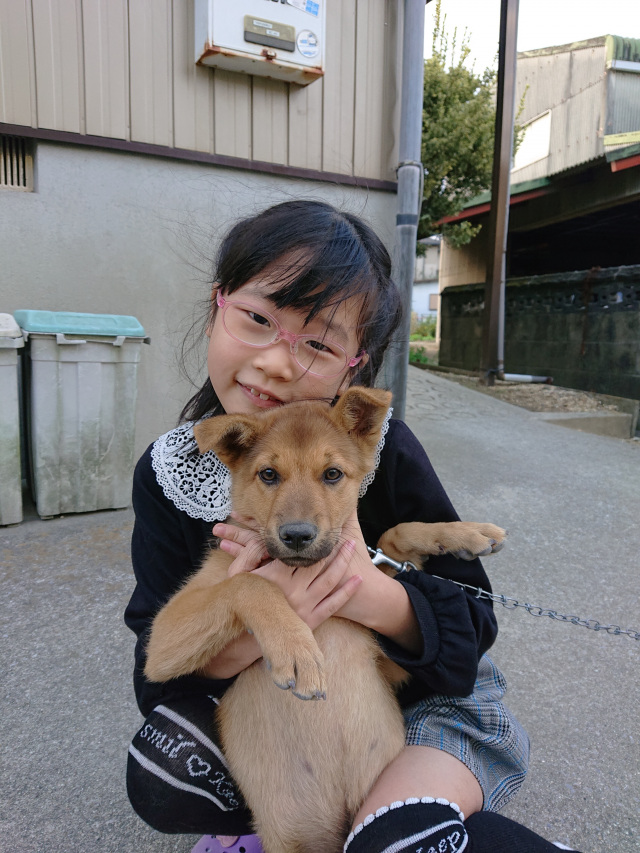 待ちに待った新しい家族がお家にきたよ(^_^)