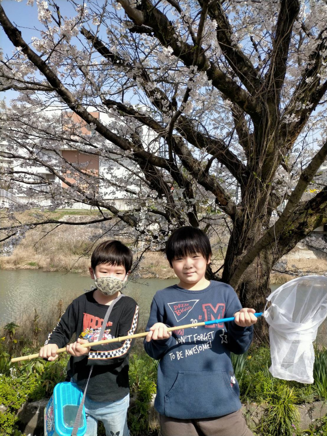 桜の下で