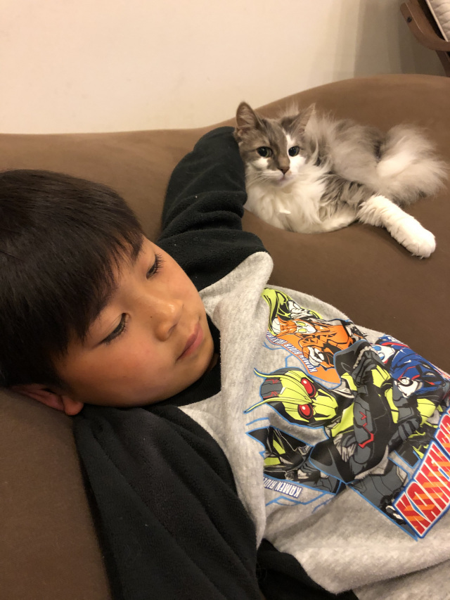 仲良くゴロゴロ