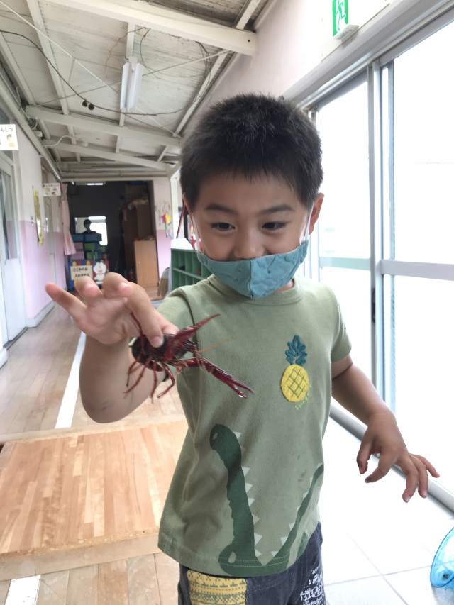 ザリガニ捕まえたよ