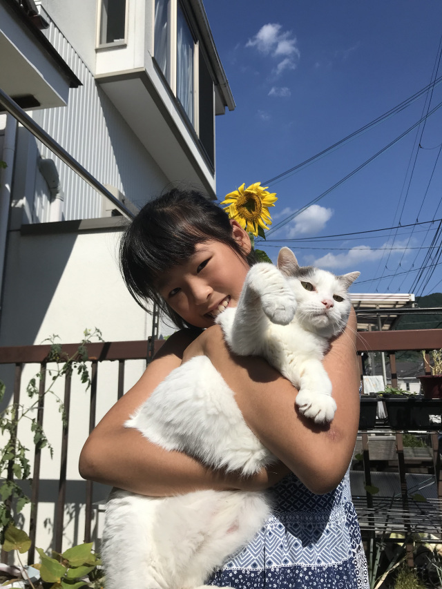ひまわり♪