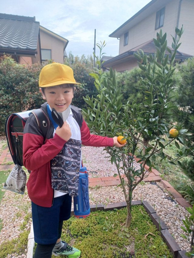 みかんがなったよ！