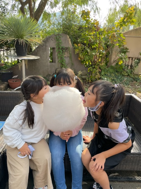 大きなわたあめ