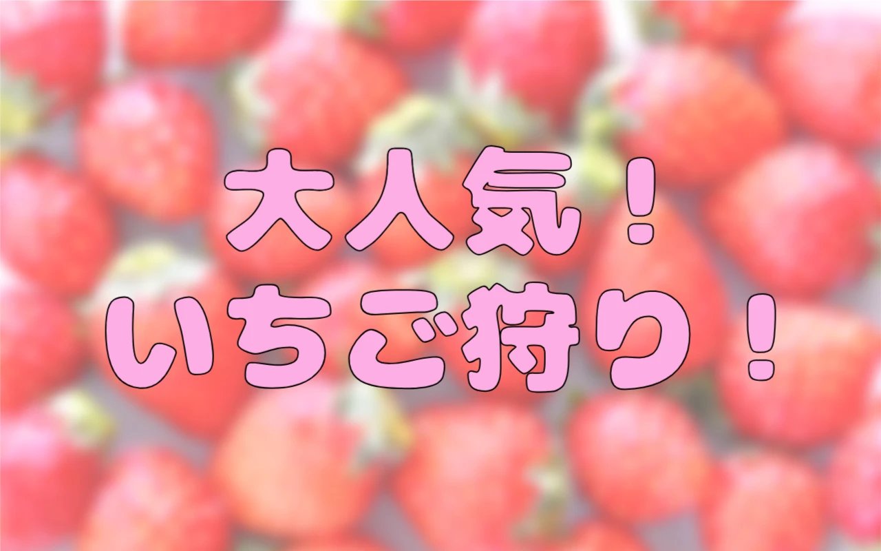 いちご狩り!