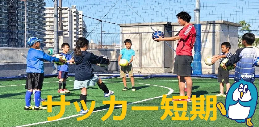 サッカー短期　