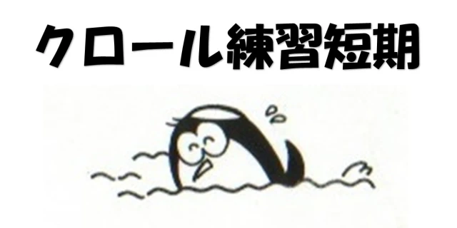 子供スイミング　クロール練習短期 9/22 9/23