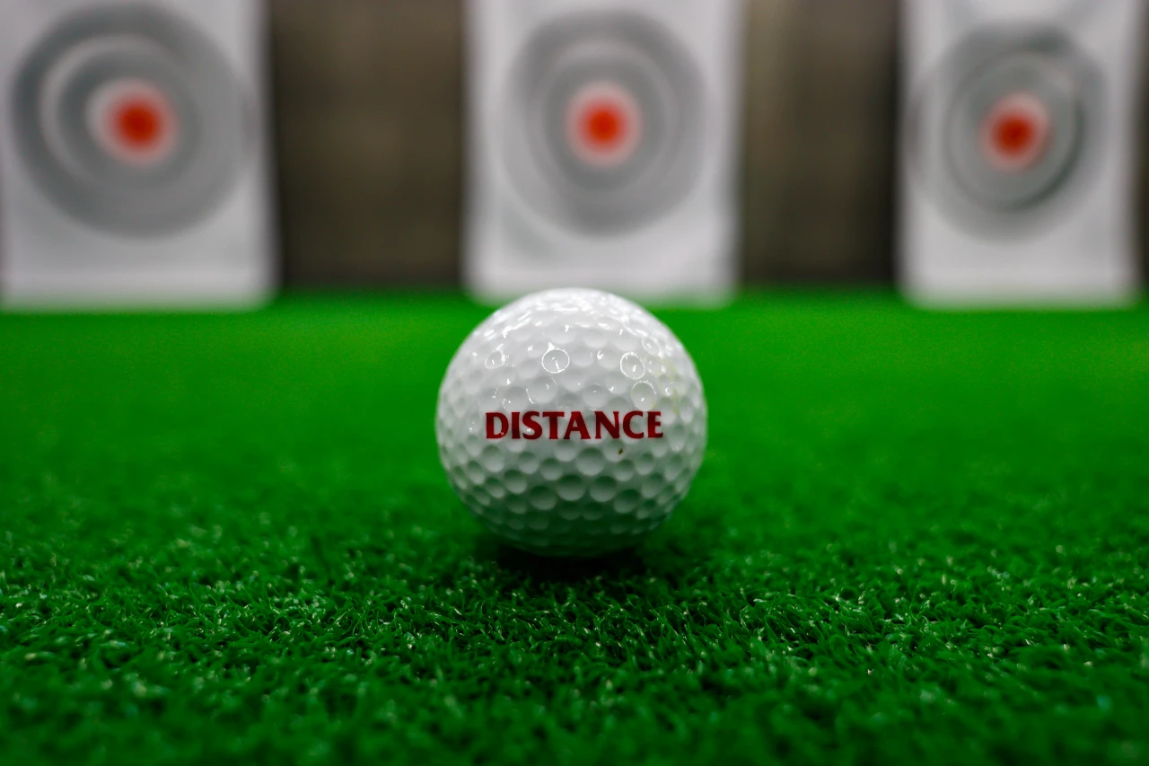 コパンスポーツクラブ日進 インドアゴルフスクール 写真2