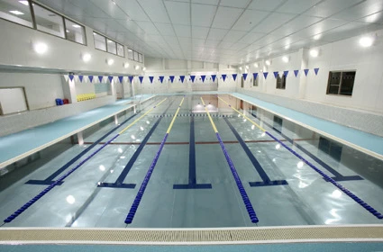 コパンスポーツクラブ新城 プール 写真1