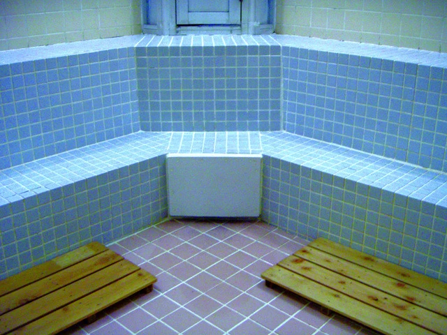 コパンスポーツクラブ有田(閉店) ミストサウナ・ジャグジー 写真1