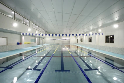 コパンスポーツクラブ新城 プール 写真1